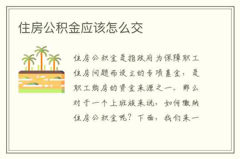 住房公积金应该怎么交(住房公积金应该怎么交?该交多少)